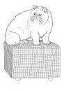 coloring_pages/cats/cats_ 18.jpg